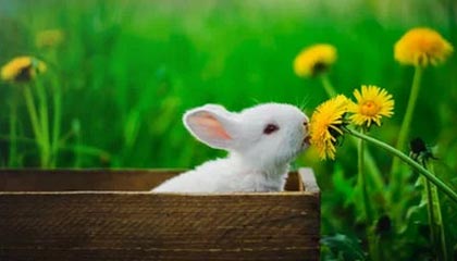 官方：赵继伟成为辽宁本地企业辉山乳业品牌大使